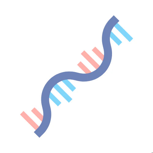DNA Notes